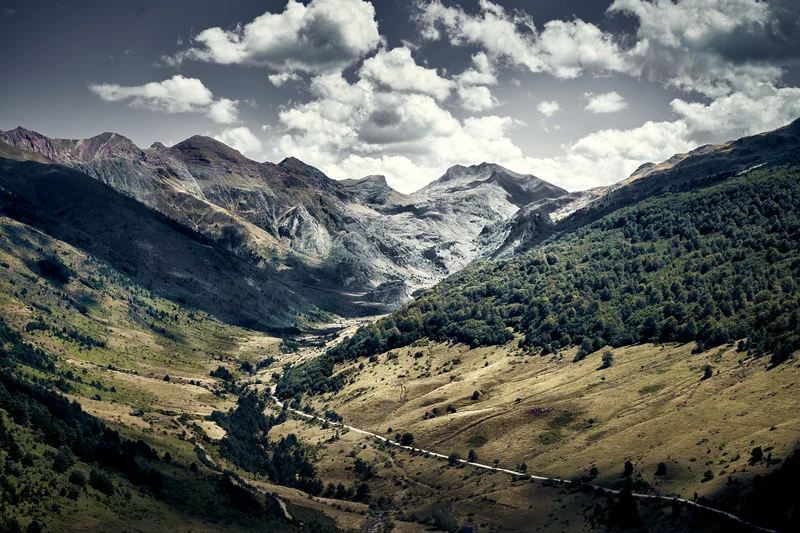 Valle de Echo, Pirineo occidental aragonés, Selva de Oza